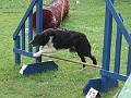 09 - Spass-Agility Sonntag 10-08-2008